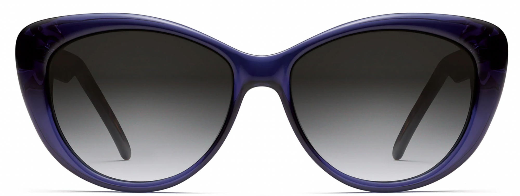 Alexander Daas - Robert Marc 697 Sunglasses - Blue Ride - Front View