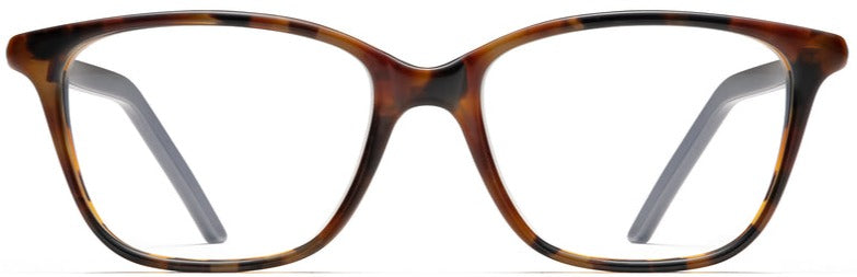 Alexander Daas - Robert Marc 836 Eyeglasses - Cedar &amp; Navy - Front View