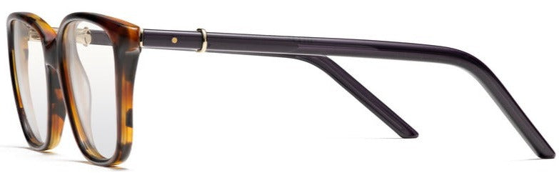 Alexander Daas - Robert Marc 836 Eyeglasses - Cedar & Navy - Side View