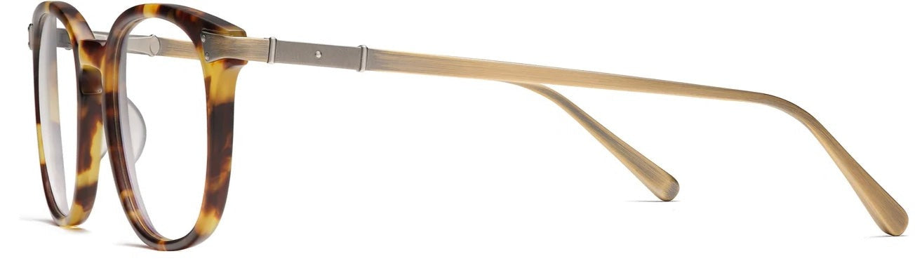 Alexander Daas - Robert Marc 885 Eyeglasses - Matte Mottled Tortoise & Antique Gold - Side View