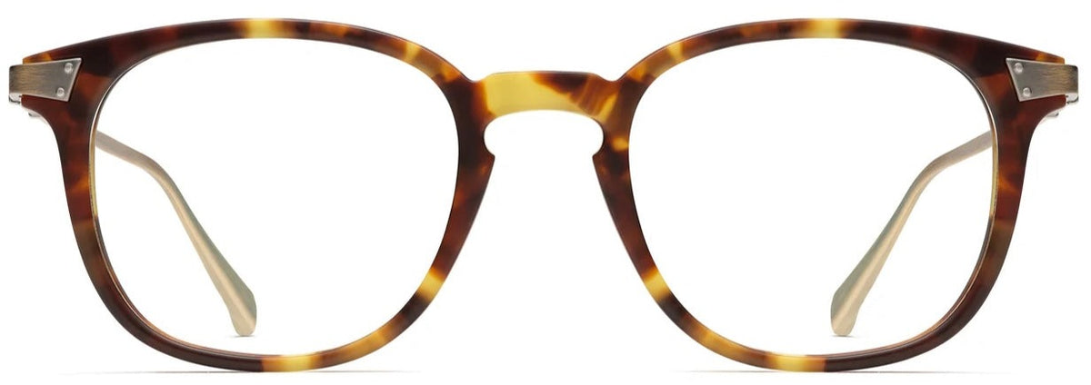 Alexander Daas - Robert Marc 885 Eyeglasses - Matte Mottled Tortoise &amp; Antique Gold - Front View