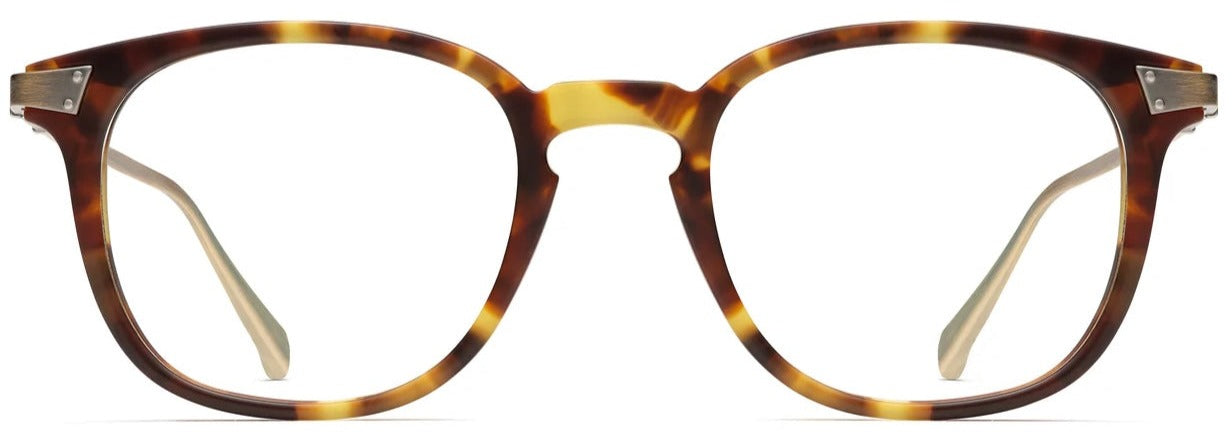 Alexander Daas - Robert Marc 885 Eyeglasses - Matte Mottled Tortoise & Antique Gold - Front View