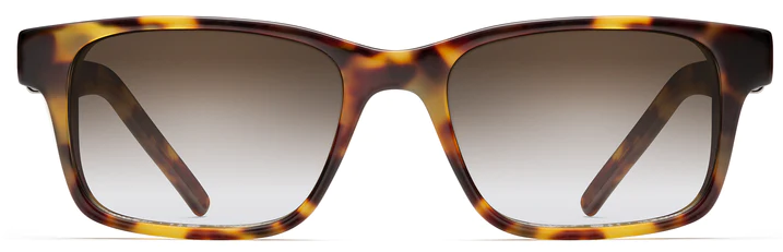 Alexander Daas - Robert Marc NYC 657 Sunglasses - Tokyo Tortoise - Front View