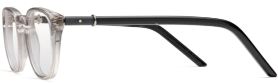 Alexander Daas - Robert Marc NYC 895 Eyeglasses - Clear Grey - Side View