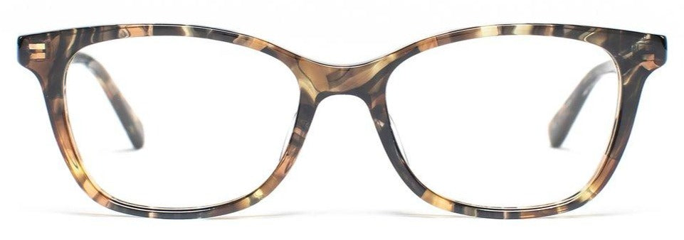 Alexander Daas - SALT Optics Cookie Eyeglasses - Autumn Tortoise - Front View