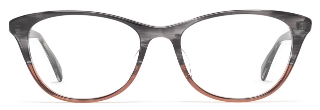 Alexander Daas - SALT Optics Fran Eyeglasses - Grey Cinnamon - Front View