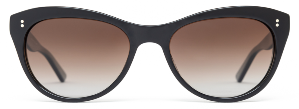 Alexander Daas - SALT Optics Hillier Sunglasses - Black & Brown - Front View