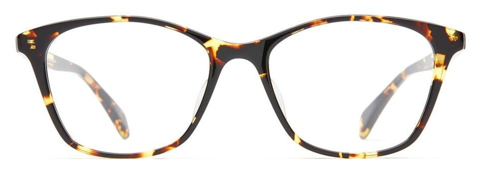 Alexander Daas - SALT Optics June Eyeglasses - Tortoise - Front View