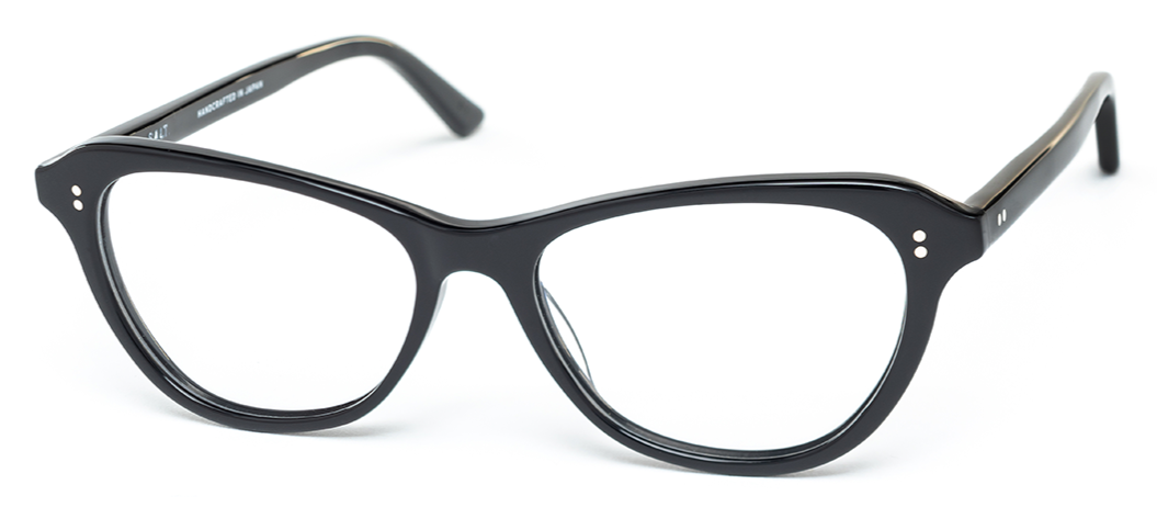 Alexander Daas - SALT Optics Sandia Eyeglasses - Black - Side View