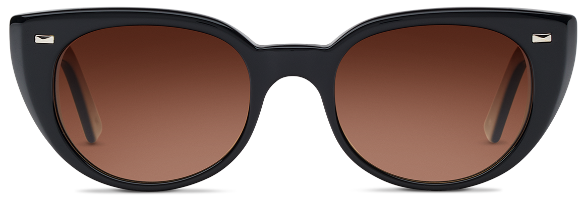 Alexander Daas - SALT Optics Taylor Sunglasses - Black &amp; Brown Gradient - Front View