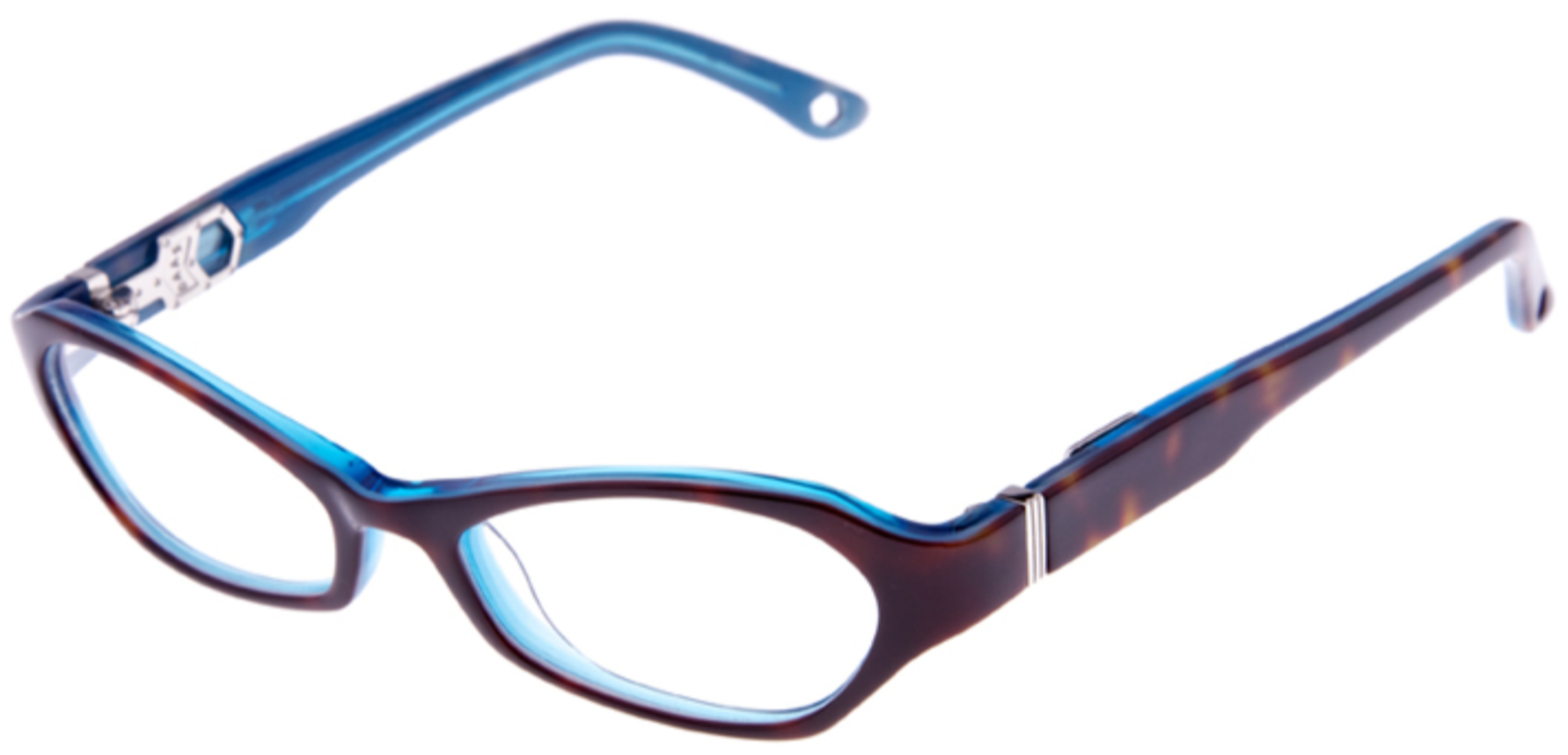 Alexander Daas - Seacliff Eyeglasses - Dark Tortoise & Blue - Side View